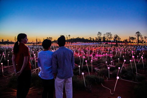 Uluru Field Of Light Sunrise Tour - Accommodation in Brisbane 0