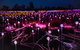 Uluru Field Of Light Sunrise Tour - thumb 1