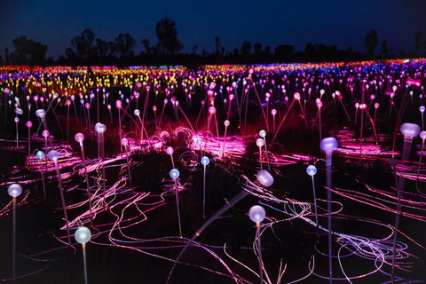 Uluru Field Of Light Sunrise Tour - Accommodation in Brisbane 1
