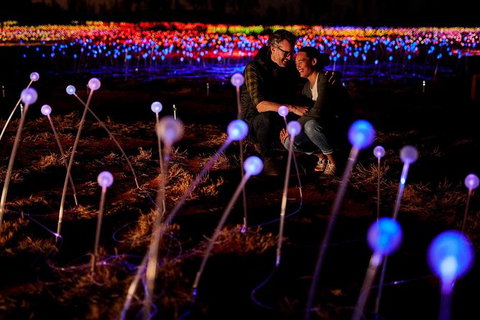 Uluru Field Of Light Sunrise Tour - Accommodation in Brisbane 6