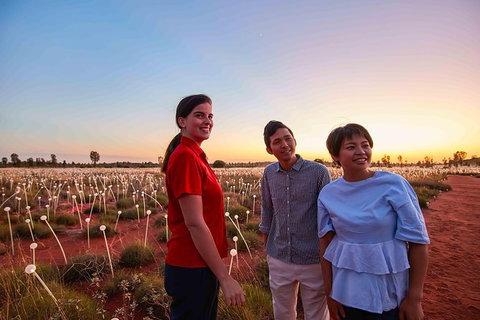 Uluru Field Of Light Sunrise Tour - Accommodation in Brisbane 11