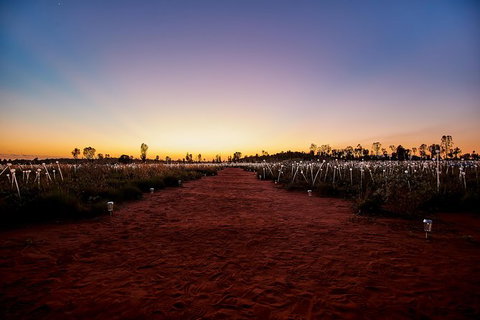 Uluru Field Of Light Sunrise Tour - Accommodation in Brisbane 14