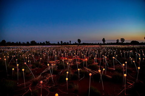 Uluru Field Of Light Sunrise Tour - Accommodation in Brisbane 7
