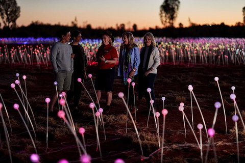 Uluru Field Of Light Sunrise Tour - Accommodation in Brisbane 10