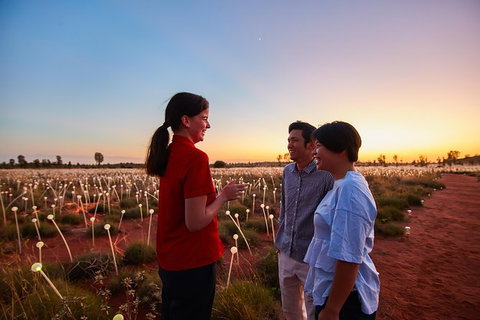 Uluru Field Of Light Sunrise Tour - Accommodation in Brisbane 9