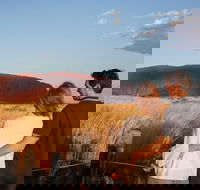 Uluru Ayers Rock Sunset with Outback Barbecue Dinner and Star Tour - Accommodation in Brisbane