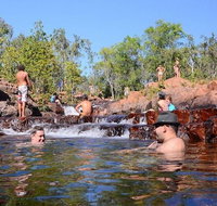 Litchfield and Jumping Crocodiles Full Day Trip from Darwin - Accommodation in Brisbane