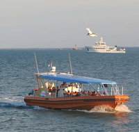 1-Hour Darwin Harbour Highlights Cruise - Accommodation in Brisbane