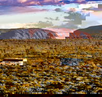 Alice Springs to Uluru Ayers Rock One Way Shuttle - Accommodation in Brisbane