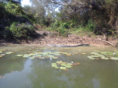 3-Day Kakadu National Park And Arnhem Land Explorer Tour From Darwin - Accommodation in Brisbane 23