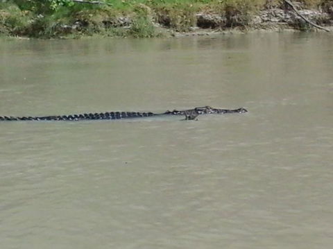 3-Day Kakadu National Park And Arnhem Land Explorer Tour From Darwin - Accommodation in Brisbane 7