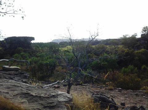 3-Day Kakadu National Park And Arnhem Land Explorer Tour From Darwin - Accommodation in Brisbane 14