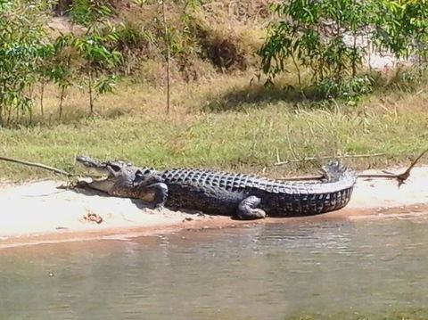 3-Day Kakadu National Park And Arnhem Land Explorer Tour From Darwin - Accommodation in Brisbane 6