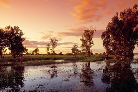 3-Day Kakadu National Park And Arnhem Land Explorer Tour From Darwin - Accommodation in Brisbane 26