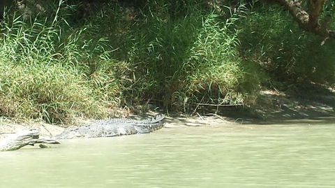 3-Day Kakadu National Park And Waterfalls Tour From Darwin - Accommodation in Brisbane 2