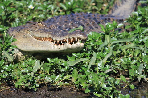 3-Day Kakadu National Park And Waterfalls Tour From Darwin - Accommodation in Brisbane 5