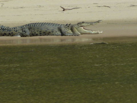 3-Day Kakadu National Park And Waterfalls Tour From Darwin - Accommodation in Brisbane 4