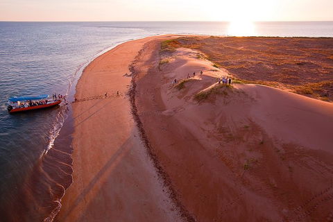 Turtle Tracks Tour To Bare Sand Island From Darwin - Accommodation in Brisbane 6