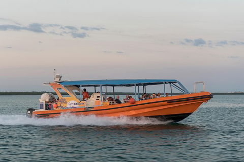 Turtle Tracks Tour To Bare Sand Island From Darwin - Accommodation in Brisbane 5