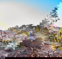 Kings Canyon Guided Rim Walk - Accommodation in Brisbane