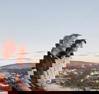 Alice Springs Highlights Half-Day Tour - Accommodation in Brisbane