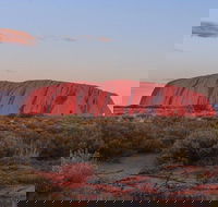 3-Day Uluru Camping Tour from Alice Springs Including Kata Tjuta and Kings Canyon - Accommodation in Brisbane