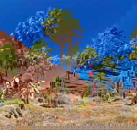 Palm Valley 4WD Tour from Alice Springs - Accommodation in Brisbane