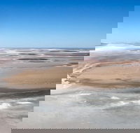 Scenic Flight Lizard Safari - Accommodation in Brisbane