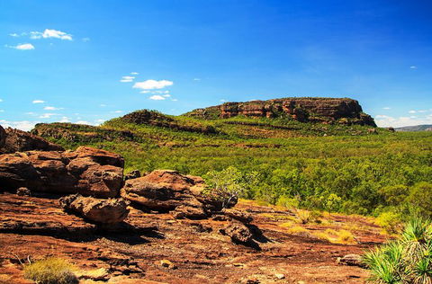 Kakadu, Nourlangie And Yellow Waters Tour From Darwin - Accommodation in Brisbane 34