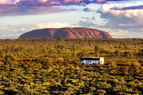 Coach Transfer From Ayers Rock To Kings Canyon - Accommodation in Brisbane 3