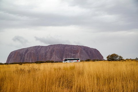 Coach Transfer From Ayers Rock To Kings Canyon - Accommodation in Brisbane 4