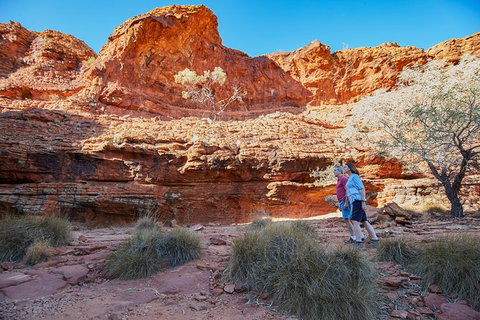 Coach Transfer From Ayers Rock To Kings Canyon - Accommodation in Brisbane 7