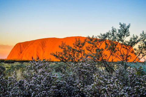 Uluru Sunrise And Kata Tjuta Half Day Trip - Accommodation in Brisbane 2