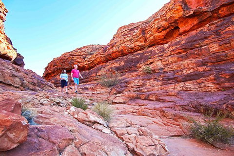 3-Day Tour From Uluru (Ayers Rock) To Alice Springs Via Kings Canyon - Accommodation in Brisbane 27