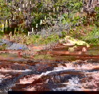 Litchfield National Park Day Tour from Darwin With Waterfalls And Buley Rockhole - Accommodation in Brisbane