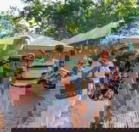 Walk the Darwin Botanic Gardens - Accommodation in Brisbane