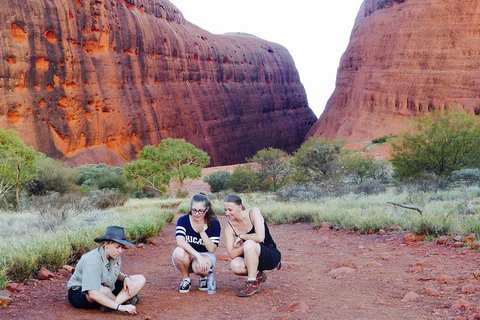 Afternoon Kata Tjuta Small Group Tour - Accommodation in Brisbane 7