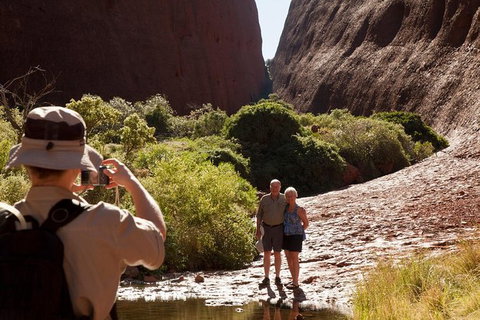Afternoon Kata Tjuta Small Group Tour - Accommodation in Brisbane 6