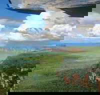 Kakadu National Park Scenic Flight - Accommodation in Brisbane