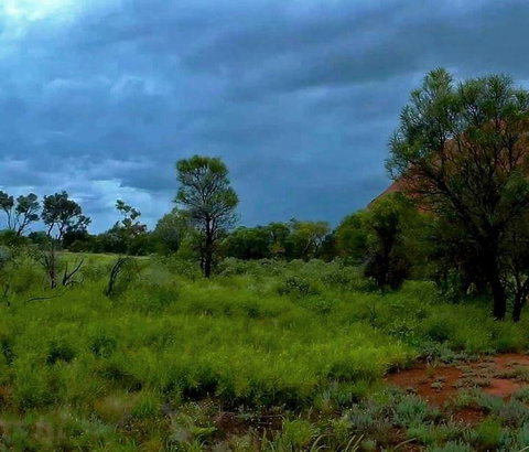 3-Day Ayers Rock To Alice Springs Camping Tour Including Kings Canyon, Kata Tjuta And Uluru - Accommodation in Brisbane 11