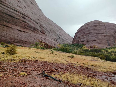3-Day Ayers Rock To Alice Springs Camping Tour Including Kings Canyon, Kata Tjuta And Uluru - Accommodation in Brisbane 4