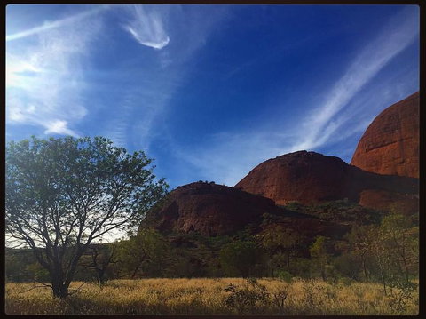 3-Day Ayers Rock To Alice Springs Camping Tour Including Kings Canyon, Kata Tjuta And Uluru - Accommodation in Brisbane 14