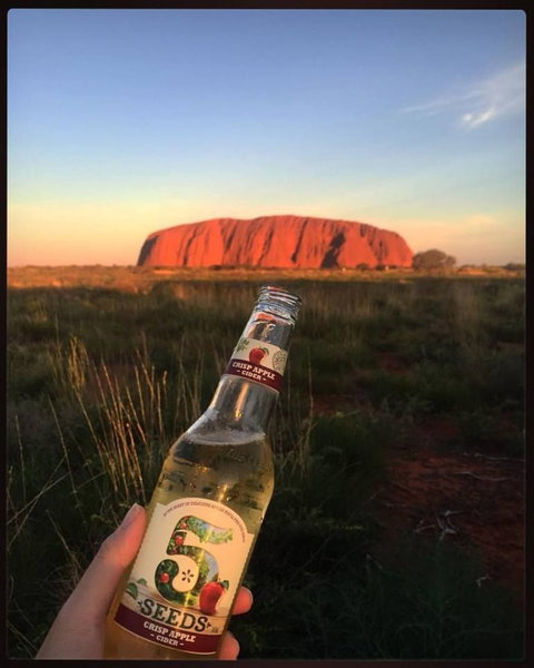3-Day Ayers Rock To Alice Springs Camping Tour Including Kings Canyon, Kata Tjuta And Uluru - Accommodation in Brisbane 15