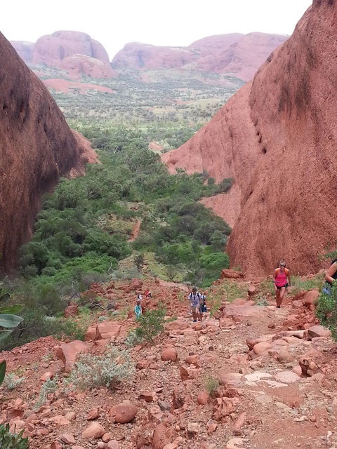 3-Day Ayers Rock To Alice Springs Camping Tour Including Kings Canyon, Kata Tjuta And Uluru - Accommodation in Brisbane 7