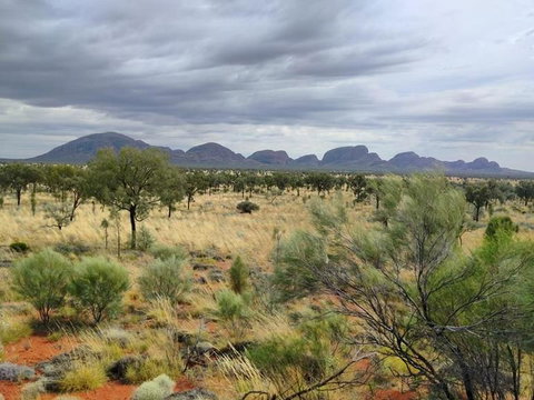 3-Day Ayers Rock To Alice Springs Camping Tour Including Kings Canyon, Kata Tjuta And Uluru - Accommodation in Brisbane 5