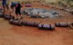 3-Day Ayers Rock To Alice Springs Camping Tour Including Kings Canyon, Kata Tjuta And Uluru - thumb 2