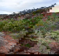 Palm Valley and Hermannsburg 1 Day 4WD Tour - Accommodation in Brisbane