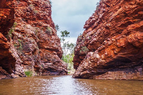 Uluru (Ayers Rock) To Alice Springs One-Way Shuttle - Accommodation in Brisbane 9