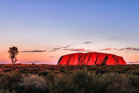2 Day Uluru Camping Adventure - Accommodation in Brisbane 4
