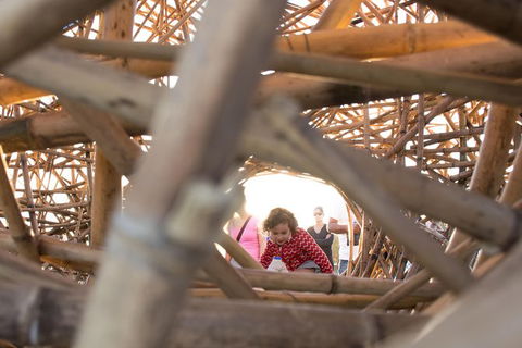 Family Day In Sydney With A Local: Private & Personalized - Accommodation in Brisbane 7